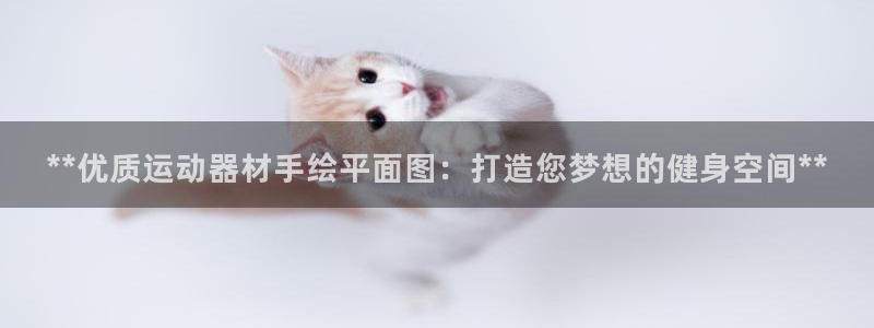 意昂体育3招商:**优质运动器材手绘平面图:打造您梦想的健身