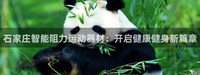 意昂体育3联系电话:石家庄智能阻力运动器材:开启健康健身新篇